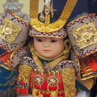 7号子供大将　曙(ケース飾り)