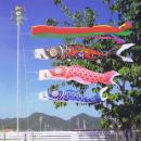鯉のぼり 「ナイロン鯉」  庭園スタンドセット 3mセット　金太郎付