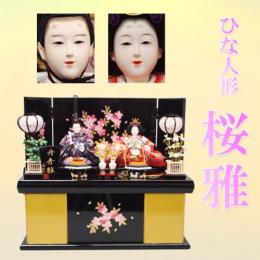 ひな人形　「桜雅」　横幅50㎝のコンパクトな収納式 親王飾りです。