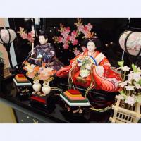 ひな人形　「桜雅」　横幅50㎝のコンパクトな収納式 親王飾りです。
