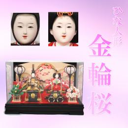 「金輪桜」　すっきりとしたアクリルケースです。