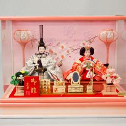 「白橙」芥子親王アクリルケース飾りです。